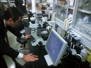  平成25年2月13日 発生・再生科学総合研究センター（神戸）視察